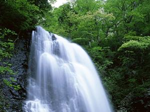 伊豆高原の絶景露天温泉と海を一望できる赤沢日帰り温泉館の魅力